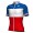 2017-2018 Fdj Französischer Meister Fahrradbekleidung Radtrikot Satz Kurzarm Radtrikot Kaufen