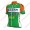 Radsport BARDIANI CSF 2018 Trikot Kurzarm Radtrikot Kaufen