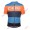 Profiteam 2018 POC Essential furfural multi Blau Trikot Kurzarm 99593FG Radtrikot Kaufen