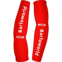 Barloworld 2009 Armlinge