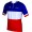 FRANCAISE DES JEUX (FDJ) Französischer Meister 2014/2015 Kurzarmtrikot (kurzer Reißverschluss) -B'TWIN Radsport-Profi-Team
