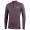 Wool LS Jersey Radtrikot langarm grau melange