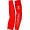 Cofidis 2012 Radsport-Profi-Team-Radsport-Armlinge