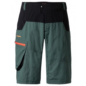 MEN QIMSA SHORTS Bike Shorts grün