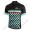 Profiteams BIANCHI MILANO Codigoro Trikot Kurzarm Outlet Radtrikot Kaufen