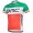 2015 BMC Radtrikot Kurzarm Rot und Grün Radtrikot Kaufen