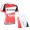 2015 Giant Radbekleidung Radtrikot Kurzarm und Fahrradhosen Kurz Radtrikot Kaufen