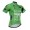 2015 Tour De France Radtrikot Kurzarm Grün Radtrikot Kaufen