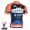 2015 Vini Fantini NIPPO Radtrikot Kurzarm Radtrikot Kaufen