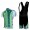 Irland Pro Team Radtrikot Kurzarm Kurz Trägerhose Kits Grün Radtrikot Kaufen