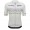 Herren Zurich 2024 Santini UCI Masters Weltmeister trikot-Grau Radtrikot Kaufen