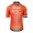 Herren Hollandisch Nationalen Agu trikot 2024 Radtrikot Kaufen