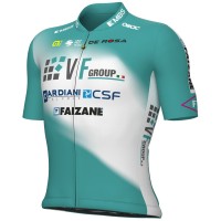 Herren Ale VF Group-Bardiani CSF-Faizane 2024 trikot Radtrikot Kaufen