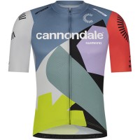 Herren Cannondale Factory Team 2024 Endurance Trikot Radtrikot Kaufen