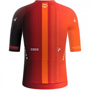 Herren Gobik Ineos Grenadiers 2024 Reactive trikot Radtrikot Kaufen