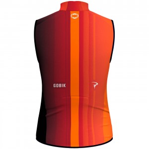 Herren Gobik Ineos Grenadiers 2024 Plus 2.0 weste Radtrikot Kaufen