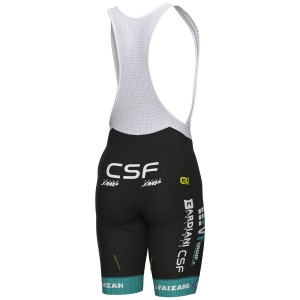 Herren Ale VF Group-Bardiani CSF-Faizane 2024 tragerhose Radtrikot Kaufen