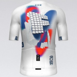 Herren Gobik Factory Team 2025 Cx Pro 4.0 trikot Radtrikot Kaufen