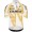 Herren Q36.5 Pro Team Off-Road 2025 Gregarius trikot Radtrikot Kaufen