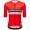 Herren Santini UCI Weltmeister 2025 trikot-Schweiz Radtrikot Kaufen