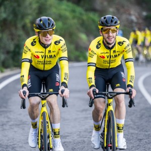 Herren Team Visma Lease a bike 2025 langarm trikot Radtrikot Kaufen