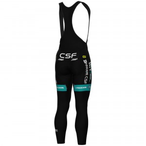 Herren Ale VF Group-Bardiani CSF-Faizane 2025 lange tragerhose Radtrikot Kaufen