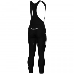 Herren Ale Dänische Nationalmannschaft 2025 lange tragerhose Radtrikot Kaufen