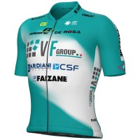 Herren Ale VF Group-Bardiani CSF-Faizane 2025 trikot Radtrikot Kaufen