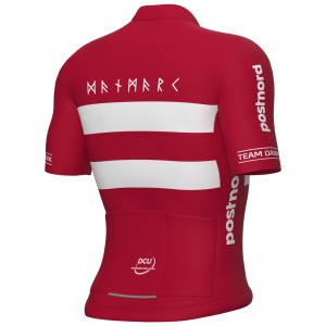 Herren Ale Dänische Nationalmannschaft 2025 trikot Radtrikot Kaufen