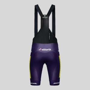 Herren Gobik Wilier Vittoria 2025 Absolute Print K10 tragerhose Radtrikot Kaufen
