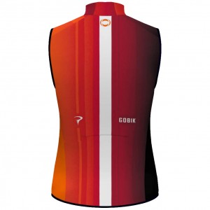 Herren Gobik Ineos Grenadiers 2025 Plus 2.0 weste Radtrikot Kaufen