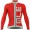 2016 ALE PRR ARCOBALENO Radtrikot Langarm-ROT GREY Radtrikot Kaufen