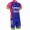2016 Lampre Radbekleidung Radtrikot Kurzarm und Fahrradhosen Kurz Radtrikot Kaufen