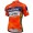 2017 Vini Fantini Nippo Race Radtrikot Kurzarm Radtrikot Kaufen