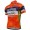 2017 Vini Fantini Nippo Pro Team Radtrikot Kurzarm Radtrikot Kaufen
